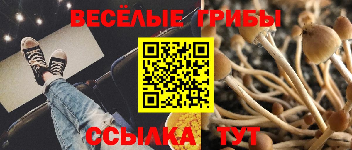 Псилоцибиновые грибы GOLDEN TEACHER Бердск