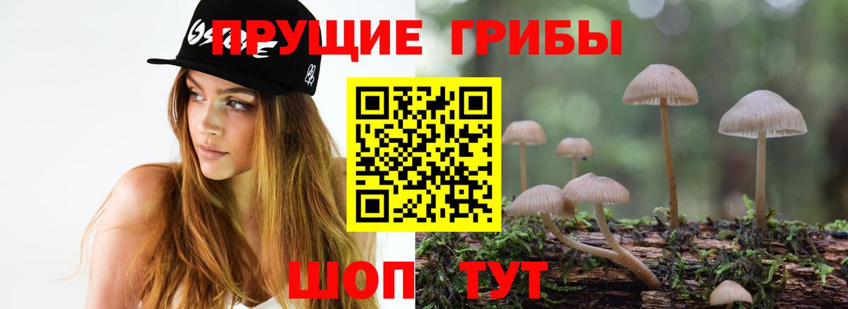 Псилоцибиновые грибы Magic Shrooms  Вход с VPN  Бердск 